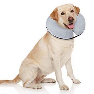 Dog comfort cushion collar